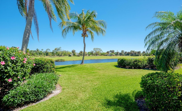 view of yard with a water view