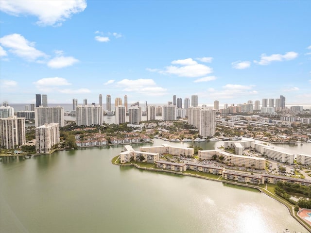 bird's eye view with a city view and a water view