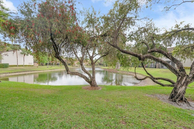 water view