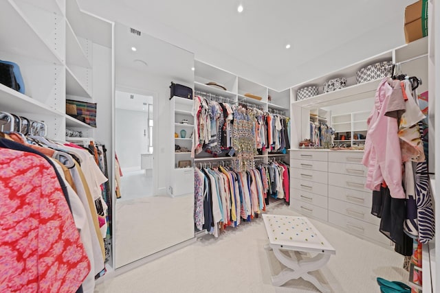 spacious closet with carpet