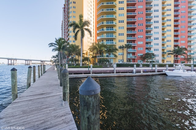 dock area with a water view