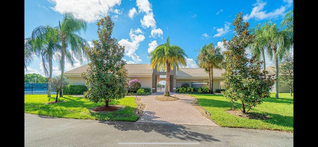 ranch-style house with decorative driveway, a front yard, and stucco siding