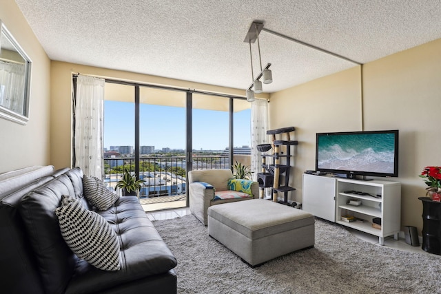 living area with a textured ceiling