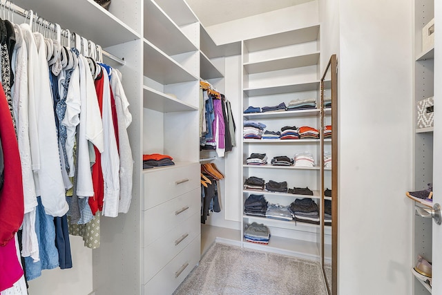 spacious closet with carpet