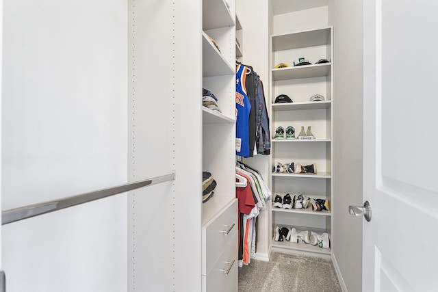 spacious closet featuring carpet floors