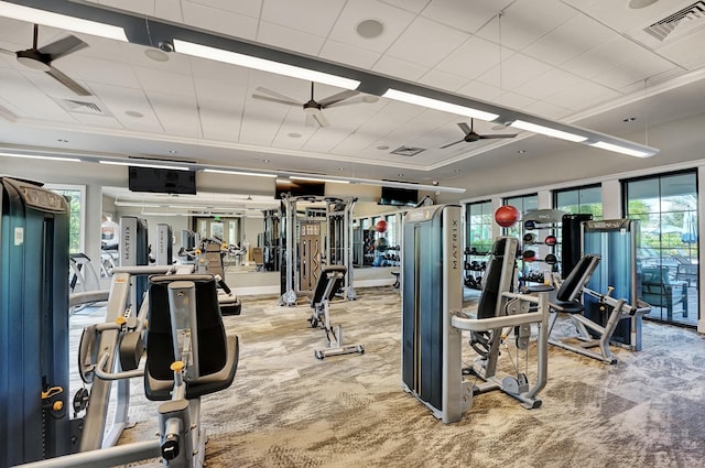 exercise room featuring a wealth of natural light, visible vents, carpet floors, and ceiling fan