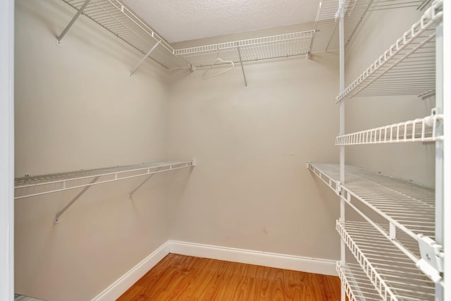 walk in closet featuring wood finished floors