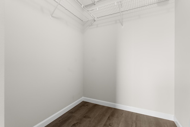 spacious closet with dark wood finished floors