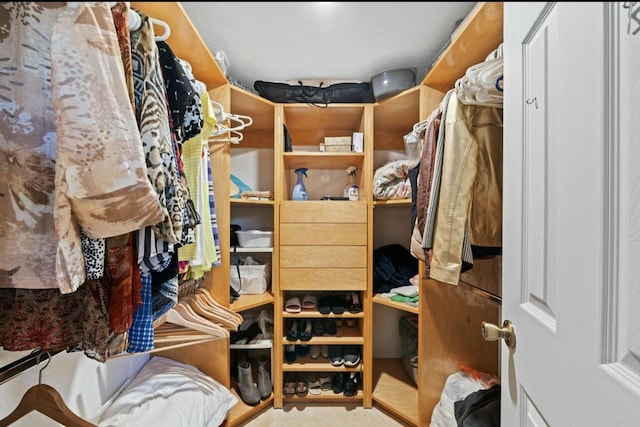 view of spacious closet