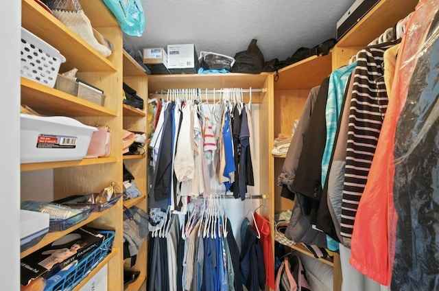 view of spacious closet