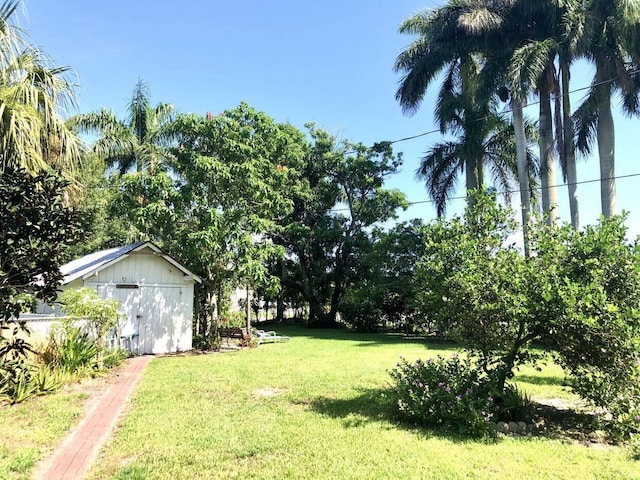 view of yard with an outdoor structure