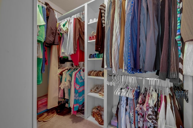 view of spacious closet