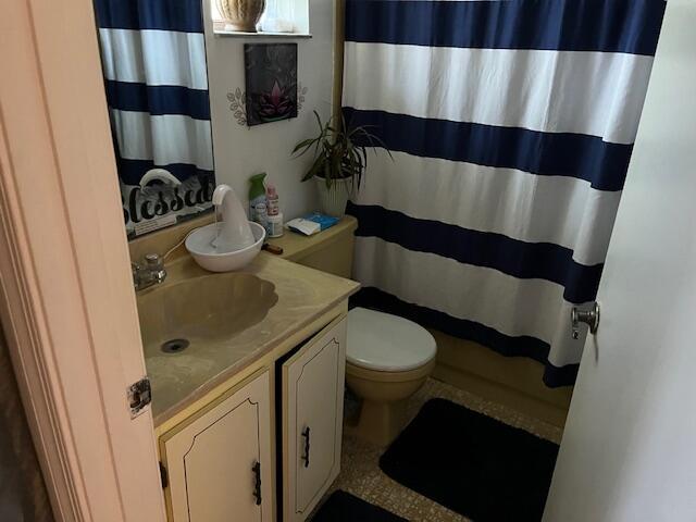 bathroom with toilet, vanity, and a shower with curtain