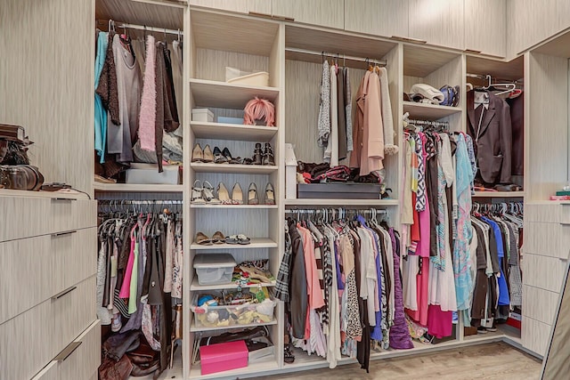 walk in closet featuring wood finished floors