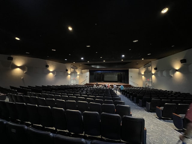 cinema room with carpet floors