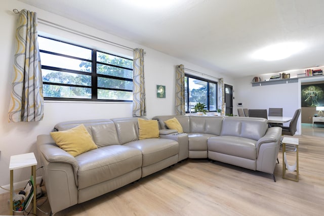 living area with a healthy amount of sunlight and light wood-type flooring