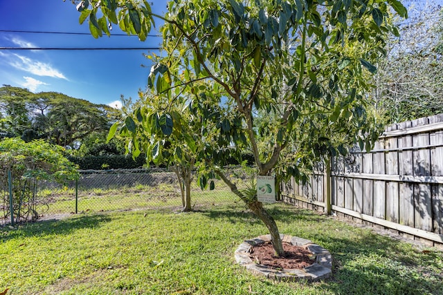 view of yard featuring fence