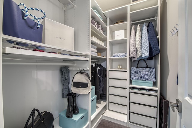 view of spacious closet