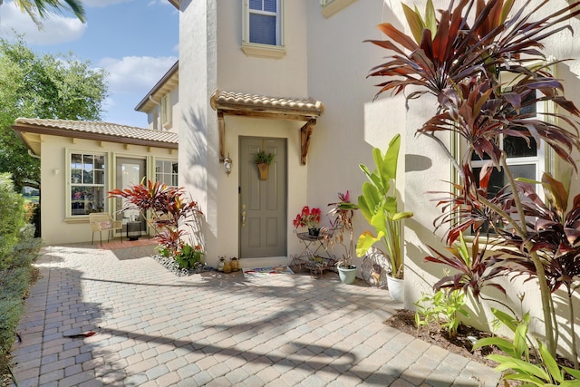 doorway to property with stucco siding and a tile roof