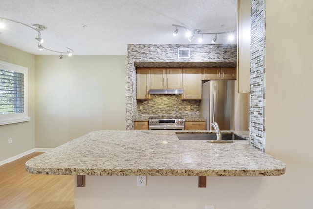 kitchen featuring tasteful backsplash, appliances with stainless steel finishes, wood finished floors, under cabinet range hood, and a sink