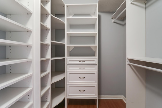 spacious closet featuring dark wood-style floors