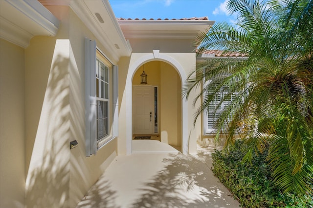 doorway to property with stucco siding and a tile roof