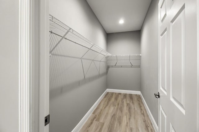 spacious closet with light wood-type flooring