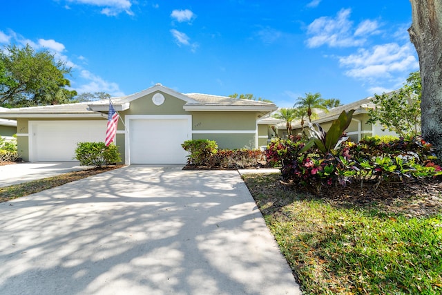 ranch-style house with concrete driveway, an attached garage, and stucco siding