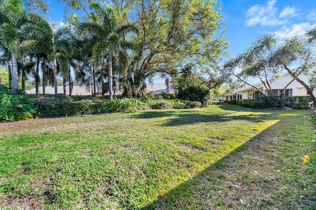 view of yard