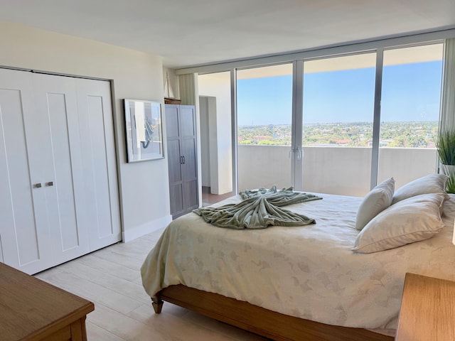 bedroom with a closet, light wood-type flooring, and access to outside