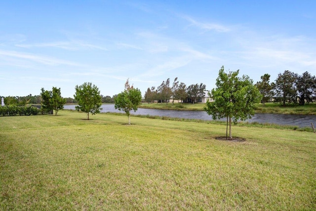 view of yard with a water view