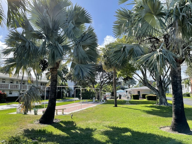 view of community featuring a lawn