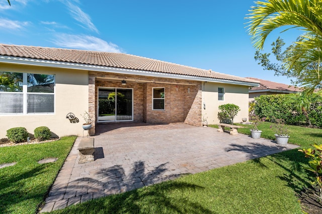 back of house featuring a yard, a patio area, a ceiling fan, and stucco siding