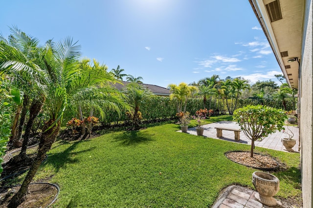 view of yard with a patio area