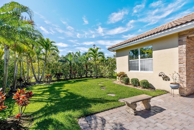 view of yard featuring a patio area