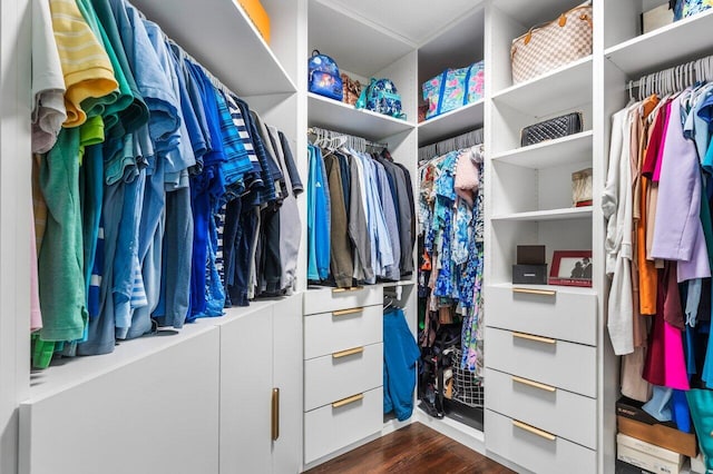 spacious closet with dark wood-style flooring