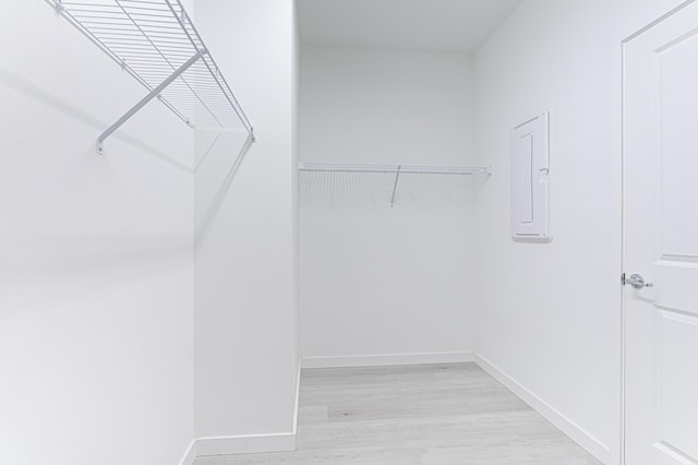 spacious closet featuring light wood-type flooring