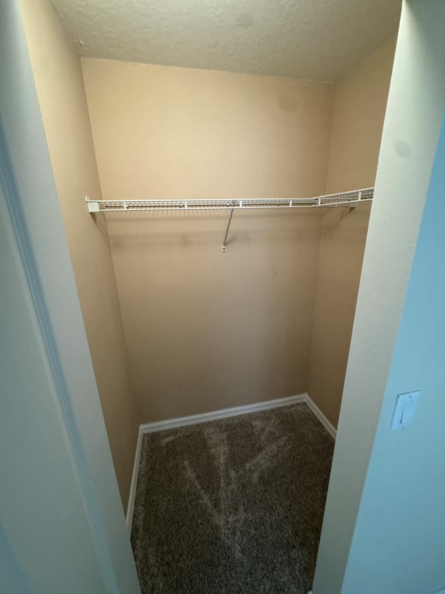 walk in closet with carpet