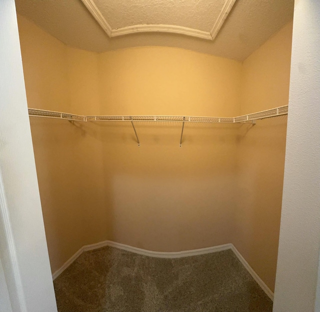 spacious closet with carpet floors