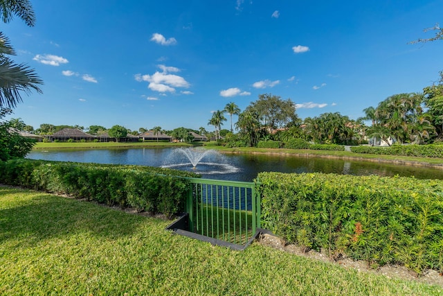 property view of water