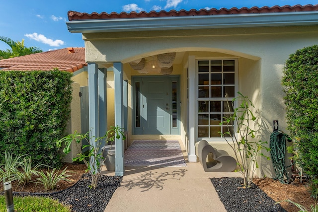 view of exterior entry with a tiled roof and stucco siding