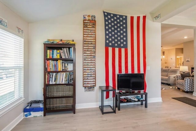 living area with baseboards and wood finished floors