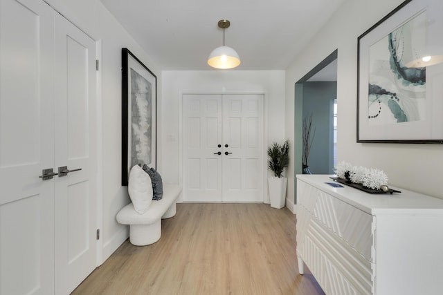 entrance foyer featuring baseboards and light wood-type flooring