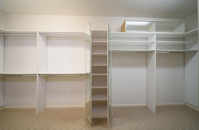 10102 Diamond Lake Rd, Boynton Beach, FL 33437 - walk in closet featuring light carpet