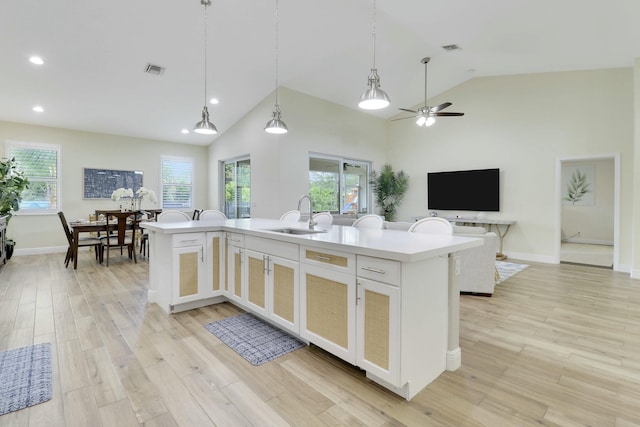 kitchen with light countertops, a healthy amount of sunlight, a sink, and light wood-style floors