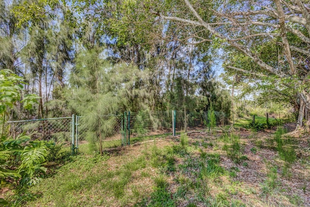 view of yard featuring fence and a gate