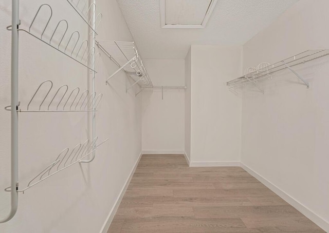 walk in closet with light wood-type flooring