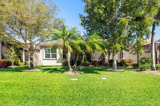 view of front of home featuring a front lawn and stucco siding