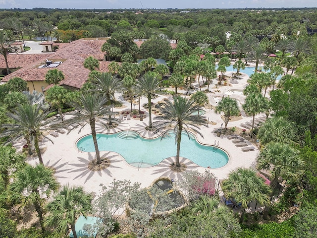 pool featuring a patio and a wooded view