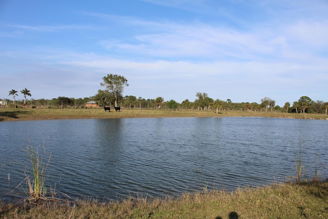 property view of water